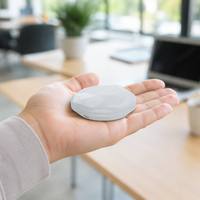 Baliza de Marketing Multifunción de Bajo Consumo Holyiot, Serie Nordic NRF54L SoC Ble6.2, IBeacon Pequeño para Rastreo en Interiores