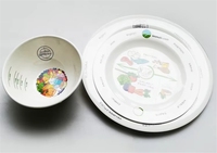Ensemble d'assiettes en mélamine écologiques de 9 pouces pour cadeaux - Contrôle du poids
