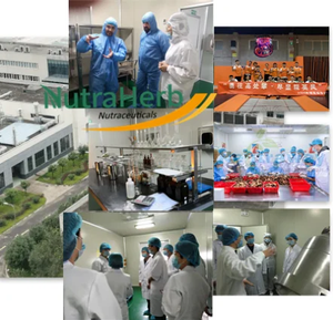 Extrait de saponaire pur avec poudre de sapindoside 40% extrait de sapindus pour soins capillaires et produits de nettoyage - Product Image 5