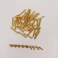 Derniers accessoires de golf 0.335 0.355 0.370 Tige en acier à pointe 2g 4g 6g 8g 10g Clou en laiton pour clubs de golf