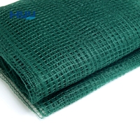 Filets de récolte d'olives en plastique vert pour l'agriculture, efficaces, 60gsm/70gsm/90gsm/100gsm avec service de découpe pour optimiser le rendement