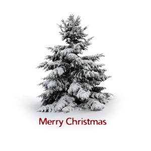 Nhân tạo tuyết ngoài trời ngay lập tức tuyết cho giáng sinh trang trí - Product Image 5