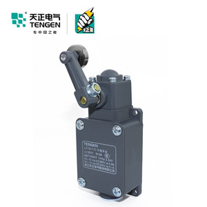 Tengen LX19-111 Limit Switch <b>Miniature</b> AC DC Control Loop Positioning Switch - Product Image 2