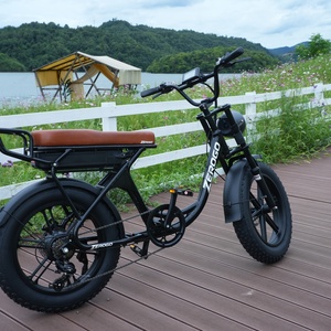 Bicicleta Eléctrica de Alta Calidad Zerogo V3 con Batería de Larga Duración, Horquilla Delantera, Almacén en el Extranjero, V3 Ultra Cat Elektro E 48v Maxebike T - Product Image 6