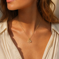 Pendentif en acier inoxydable avec pierre du mois de naissance pour collectionneur d'horoscopes, collier pendentif zodiaque, collier zodiaque