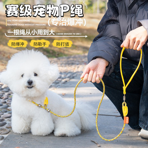 Correa para mascotas Star Fun S5, de nailon ajustable para perros pequeños, medianos y grandes, cuerda de entrenamiento antiexplosión - Product Image 1