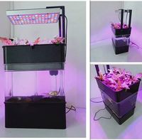 Aquarium décoratif en acrylique avec lampes LED, pour la plantation de légumes et le poisson à l'intérieur