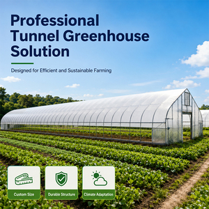 Serre tunnel professionnelle intelligente à simple travée avec contrôle climatique et ventilation pour <span class=keywords><strong>la</strong></span> culture de tomates - Product Image 1