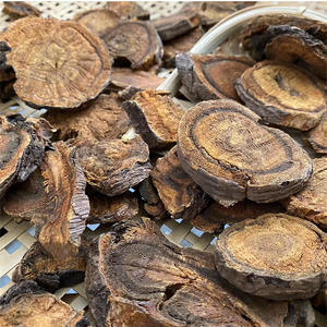 卸売新鲜なルバーブルバーブ粉末ルバーブスライスと薬草のバルク大量と良い価格ホースシューイエロー - Product Image 3