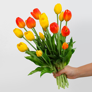Venta al Por Mayor <span class=keywords><strong>de</strong></span> Fábrica <span class=keywords><strong>Tulipán</strong></span> Artificial <span class=keywords><strong>de</strong></span> Tacto Real en Ramo <span class=keywords><strong>de</strong></span> Alta Calidad para Decoración <span class=keywords><strong>de</strong></span> Bodas y Hogar - Product Image 2