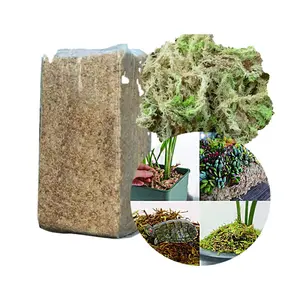 wholesale sphagnum moss, wholesale sphagnum moss Suppliers and