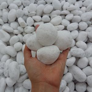 Vente chaude Pierre Naturelle Neige Blanc Caillou Cobble Type pour Extérieur Maison Jardin Pavage et Aménagement Paysager Décor - Product Image 1