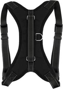 Fabricante Mayorista de Arneses Reflectantes y Transpirables para Perros Grandes con Múltiples Diseños - Product Image 5