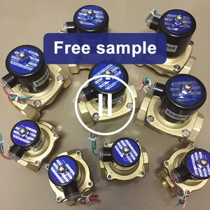 FREE SAMPLE NC electric magnetic 12v 24v 220V solenoid water valves types for water control two way brass solenoid valve