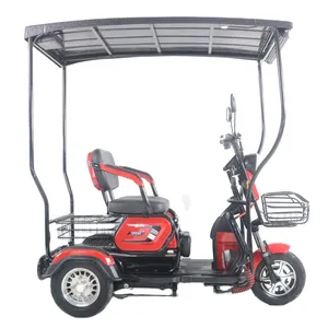 Vente de tricycle électrique à trois roues à énergie solaire 48V 600W tricycle électrique de tourisme à énergie solaire