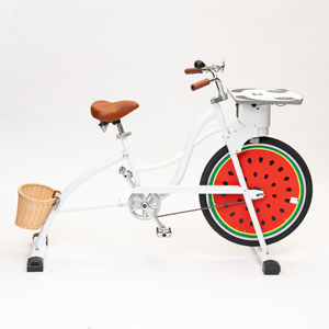 EXI New Design Hybrid Bicycles Pedal Power Generator <strong>Bike</strong> For Human Powered Mobile Phone <strong>Charging</strong> <strong>Bike</strong> Pedal Energy - Product Image 3