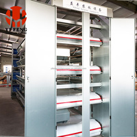 Cage d'élevage de type H de haute qualité, galvanisée à chaud, système entièrement automatique pour élevages avicoles de grande envergure