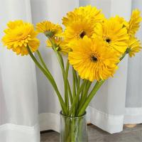 Gerbera Daisy 19 Gerbera Kunming Yunnan Rambut Lurus Alami Buket Festival Qingming Bunga Potong Kuning Putih Grosir
