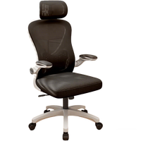 Chaise de bureau ergonomique en maille avec protection lombaire, base 5 étoiles, design moderne pour le confort à la maison et au bureau