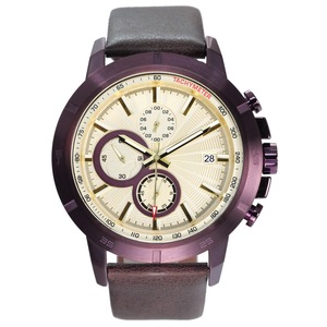 ผู้จัดจำหน่ายนาฬิกาเหล็ก SW - Product Image 6