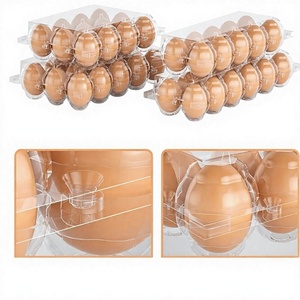12 <b>Eggs</b> Eco-Friendly Durable PP Plastic <b>Egg</b> Tray 6x2 Recyclable Transparent Food Grade Packaging Carton Box Safe <b>Storage</b> Custom - Product Image 1