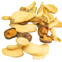 DETAN Magere Knapperige Zoute Gebakken Bulk King Oyster Paddenstoelen Chips Snack