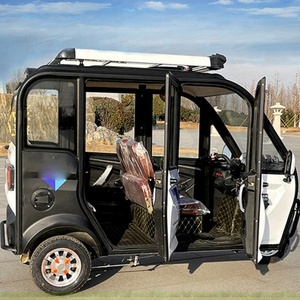 Triciclo Económico con Cabina, Neumático de Tres Ruedas, 1200W 2000W 3000W, Triciclo Pedicab, Triciclo Reversible para Adultos - Product Image 1