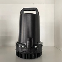 Petite brosse cc haute pression 12V 24V 48V, Mini pompe à eau solaire Submersible pour Agriculture