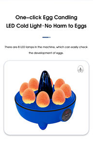 WONEGG-Incubadora de <span class=keywords><strong>huevos</strong></span> digital automática, 8 <span class=keywords><strong>huevos</strong></span> fáciles de incubar - Product Image 4