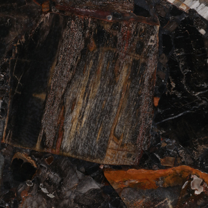 Modern Petrified Wood End <b>Table</b> <b>Round</b> Top Brass Stem <b>Black</b> Base Small <b>Side</b> <b>Table</b> for Living Room Decor - Product Image 5