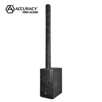 Accuracy Pro Audio AC22G, Nuevo Diseño Modular Único, Subwoofer de 2*10'', RMS 800W, Sistema de PA Profesional, Altavoces Activos de Columna para Piso