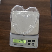 Hartvormige 500g capaciteit gerecycleerde PET geventileerde transparante wegwerp clamshell verpakking voor verse kersentomaten en aardbeien