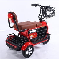 Vente en gros de tricycles électriques pour personnes âgées, modèle M1, vélo à 3 roues, scooter électrique miniature à trois roues pour adultes, pas cher