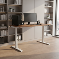 Bureau debout ergonomique à double moteur pour le télétravail, avec cadre de table électrique réglable en hauteur et port de charge Type C