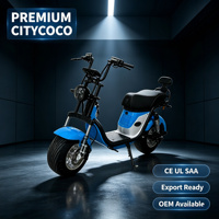 Moto électrique pour adultes avec double amortisseur, autonomie de 50-60 km, 40 °   Capacité de montée, vélo électrique certifié CE UL SAA