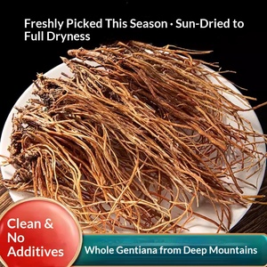 Rhizome de <span class=keywords><strong>Gentiane</strong></span> <span class=keywords><strong>Sauvage</strong></span> Japonaise Authentique en Gros – Gentiana Scabra – Racine de Plante Médicinale pour Infusion - Product Image 3