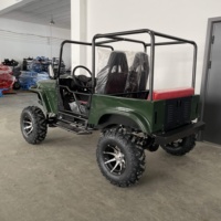 Voiture Jeep 4x4 pour adultes 150 ch 200 ch 250 ch 300 ch 350 ch Buggy chinois droitier Mini Jeep 4x4 à essence