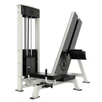 Machine professionnelle de musculation en acier inoxydable pour le tirage à la tricepse, idéale pour le renforcement des bras, des jambes et des muscles.