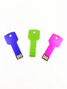 Miễn Phí Logo Công Ty Quà Tặng Chì<span class=keywords><strong>a</strong></span> Khó<span class=keywords><strong>a</strong></span> Hình Dạng USB 2.0 Bút Ổ Đĩ<span class=keywords><strong>a</strong></span> Flash 128MB 1GB 4GB 16GB 32GB 64GB <span class=keywords><strong>Memory</strong></span> Stick Kim Loại Pendrive - Product Image 5