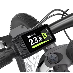 Kit de conversion Joybikes pour vélo électrique <span class=keywords><strong>BAFANG</strong></span> <span class=keywords><strong>M200</strong></span> 36v 48v 250W kit de conversion de moteur central pour vélo électrique - Product Image 6