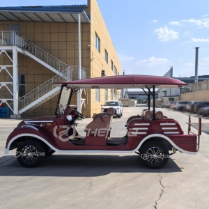 Voiture de tourisme électrique classique vintage à basse vitesse avec 8 sièges, navette de luxe - Product Image 5