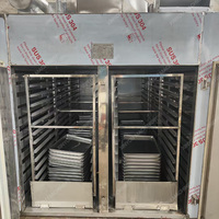 Machine de séchage sous vide haute productivité pour tomates et champignons