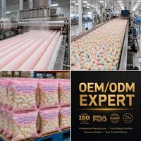 Usine de guimauves en gros : Guimauves enrobées aux saveurs fruitées, sucre et glucose, emballage en boîte, chaîne d'approvisionnement OEM/ODM