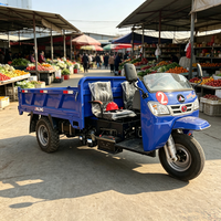 Triciclos Motorizados de Carga de Tres Ruedas de Alta Calidad, de Gasolina o Diésel, de Gran Potencia, con Carrocería Abierta, para Uso Agrícola