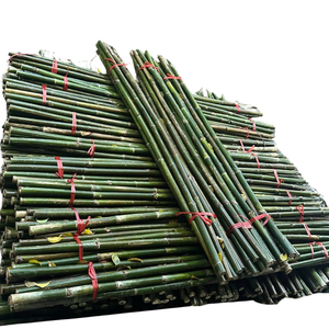 แท่งไม้ไผ่รองรับการเพาะปลูกในสวนขนาดเล็กวัตถุดิบจากไม้ไผ่ - Product Image 4