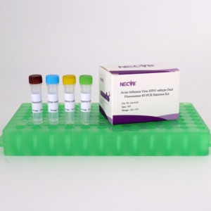 실험실/수의학 사용을위한 AIV-H5N1 핵산 테스트 키트 - Product Image 1