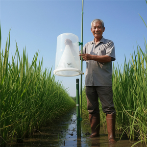 Trampa de Monitoreo de Insectos para Campos de Arroz al por Mayor: Solución Sostenible de Control de Plagas para Agricultores y Plantaciones de Arroz - Product Image 2