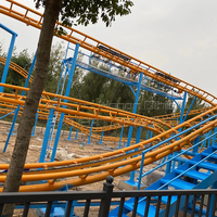 Manège à sensations fortes pour toute la famille : Montagnes russes Crazy Mouse pour les fêtes foraines et les aires de jeux extérieures