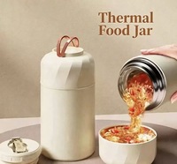 Nouvelle cocotte thermique portable en acier inoxydable, pot alimentaire à longue isolation, grande capacité, pour le déjeuner en extérieur/Minimaliste