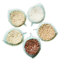 Protéine Isolée de Riz Brun Végétalienne de Qualité Alimentaire en Gros, Supplément Santé, 80% de Vitamines en Poudre, Prix Usine, Durée de Conservation 24 Mois